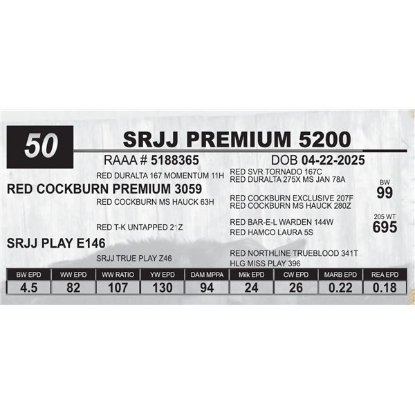 SRJJ PREMIUM 5200