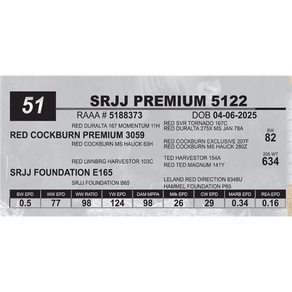 SRJJ PREMIUM 5122