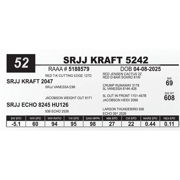 SRJJ KRAFT 5242