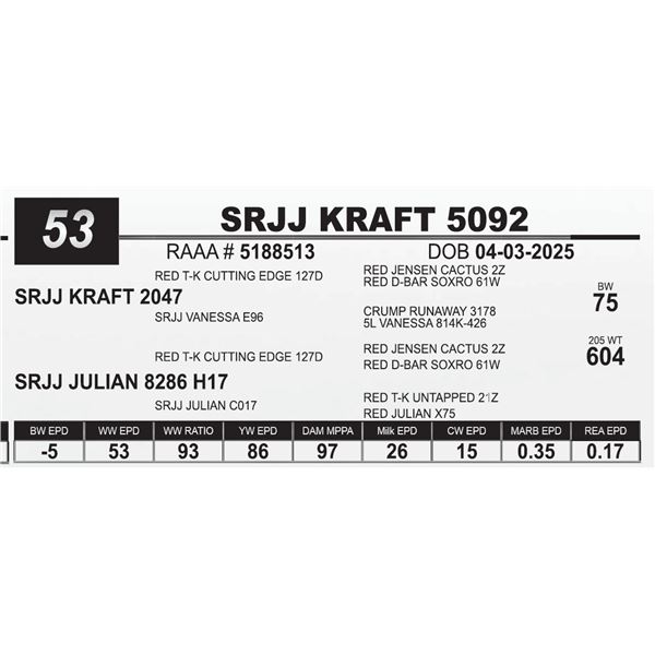 SRJJ KRAFT 5092