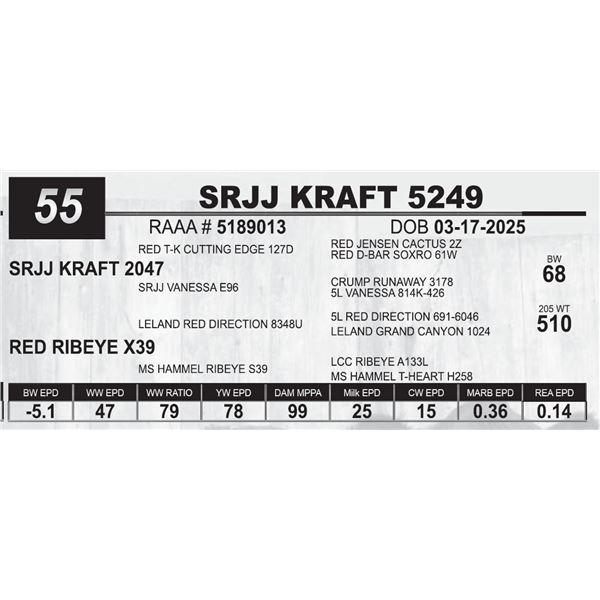 SRJJ KRAFT 5249