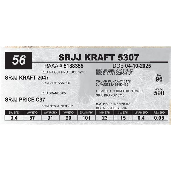SRJJ KRAFT 5307