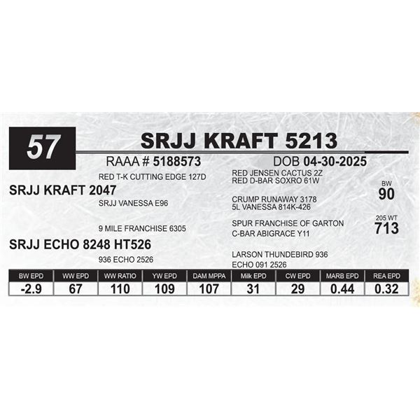SRJJ KRAFT 5213