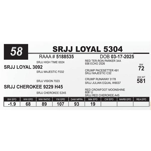 SRJJ LOYAL 5304
