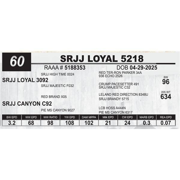 SRJJ LOYAL 5218