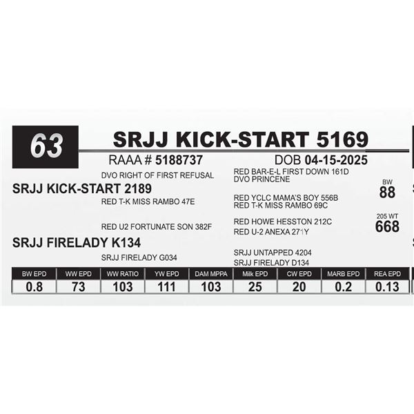 SRJJ KICK-START 5169