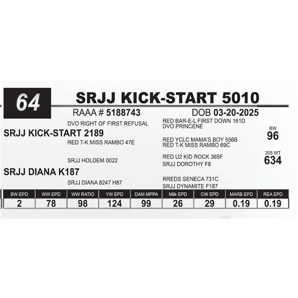 SRJJ KICK-START 5010