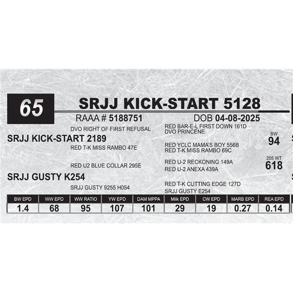 SRJJ KICK-START 5128