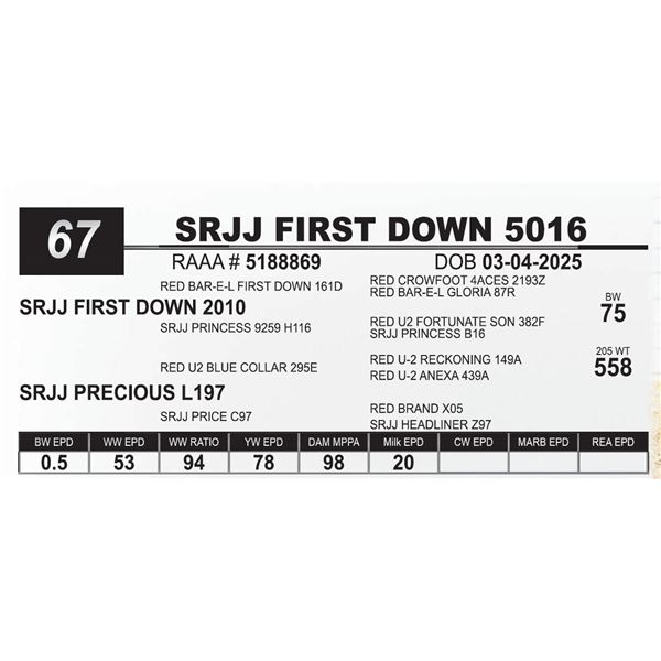 SRJJ FIRST DOWN 5016