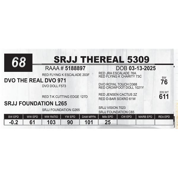 SRJJ THEREAL 5309