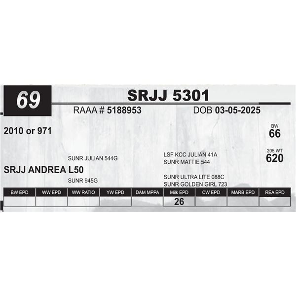 SRJJ 5301