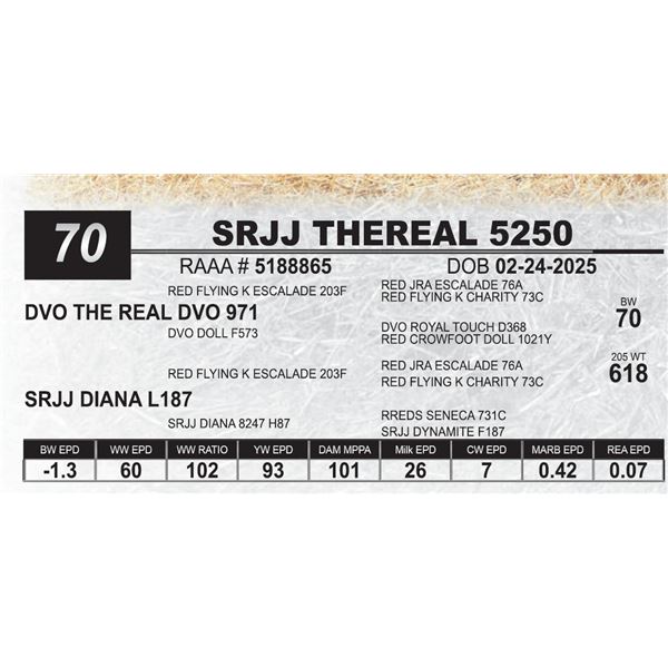 SRJJ THEREAL 5250
