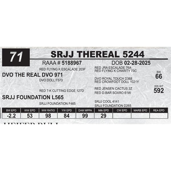 SRJJ THEREAL 5244