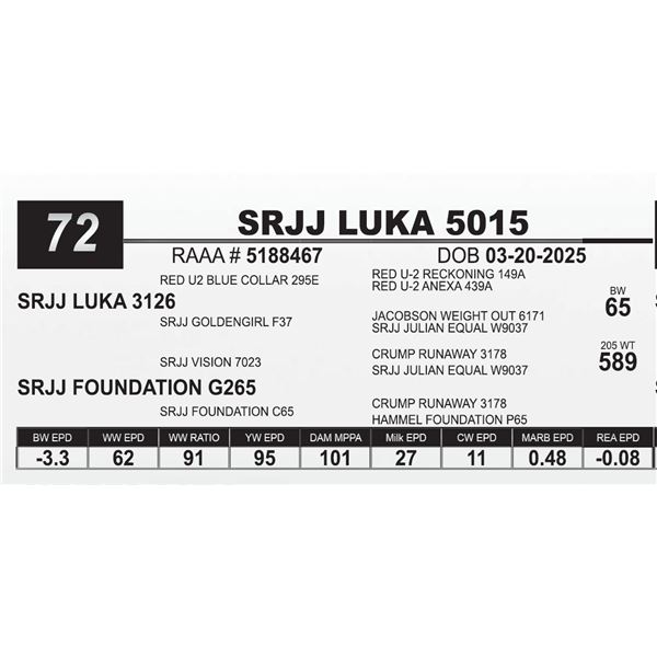SRJJ LUKA 5015