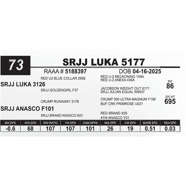 SRJJ LUKA 5177