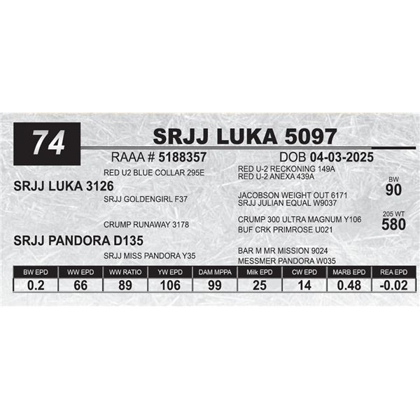 SRJJ LUKA 5097
