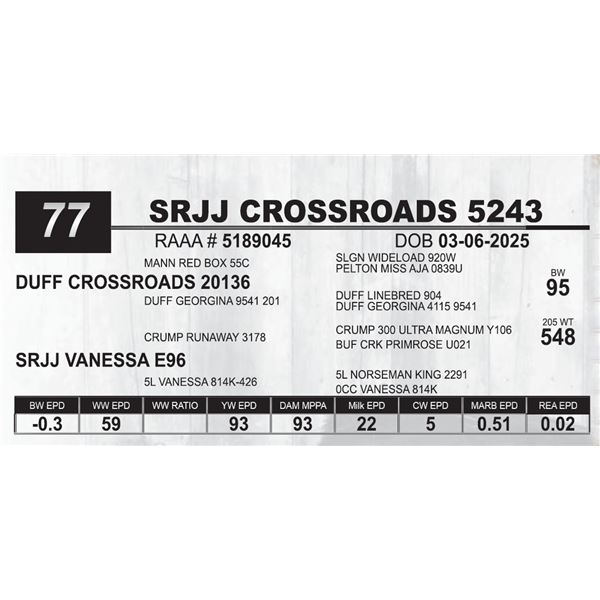 SRJJ CROSSROADS 5243
