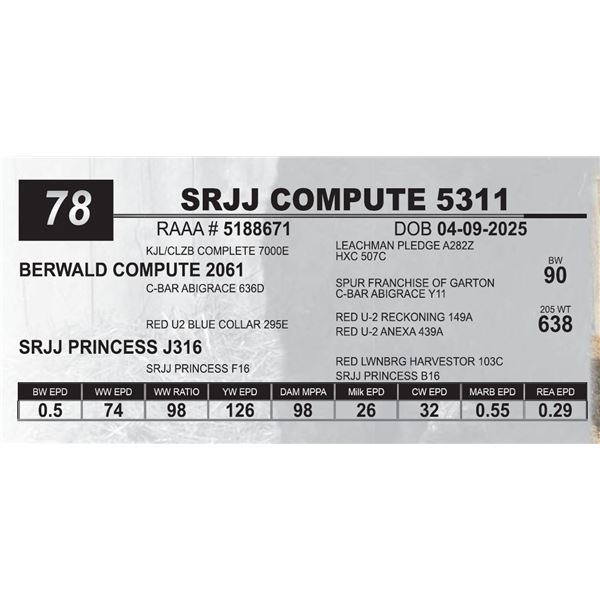 SRJJ COMPUTE 5311