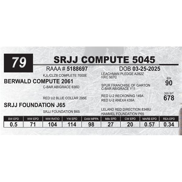 SRJJ COMPUTE 5045