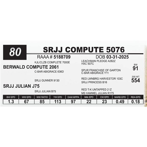 SRJJ COMPUTE 5076