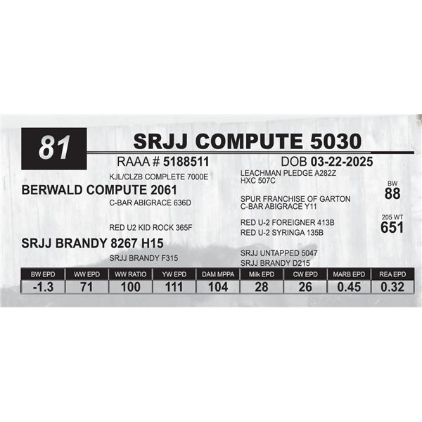 SRJJ COMPUTE 5030