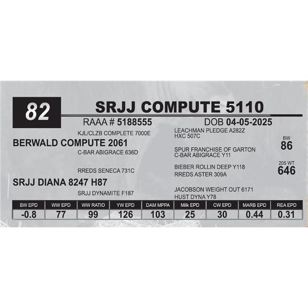 SRJJ COMPUTE 5110