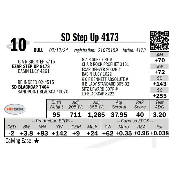 SD Step Up 4173
