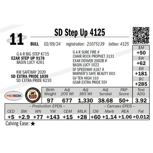 SD Step Up 4125