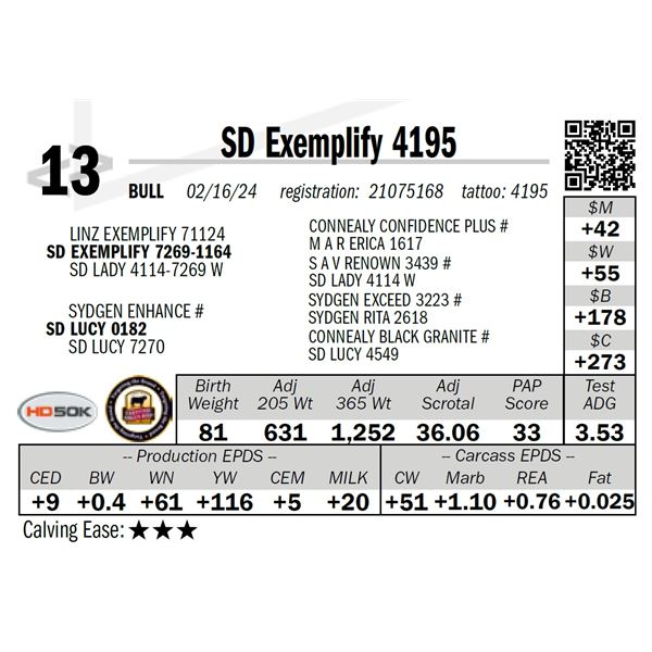 SD Exemplify 4195