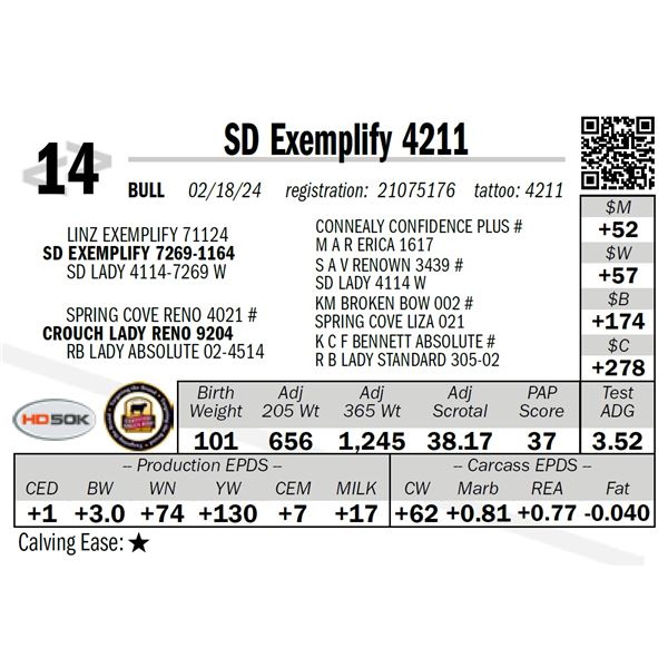 SD Exemplify 4211
