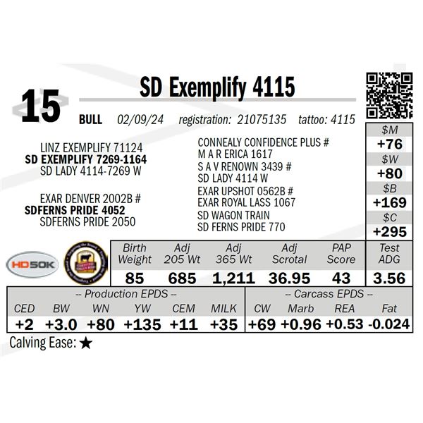 SD Exemplify 4115