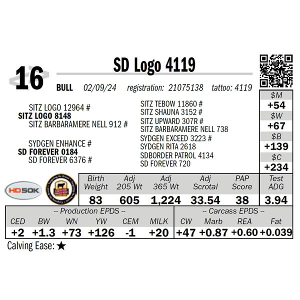 SD Logo 4119
