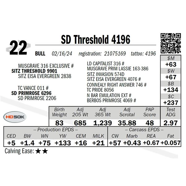 SD Threshold 4196