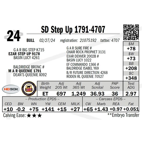 SD Step Up 1791-4707