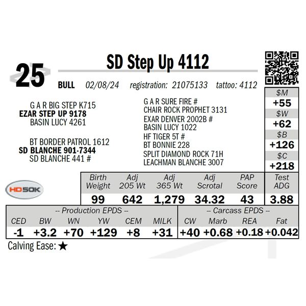 SD Step Up 4112