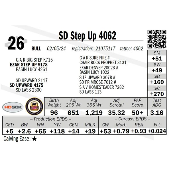 SD Step Up 4062