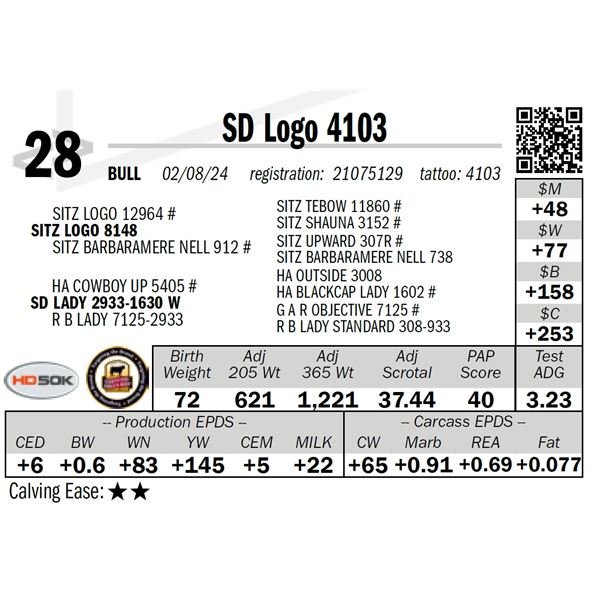 SD Logo 4103