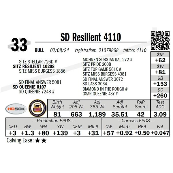 SD Resilient 4110