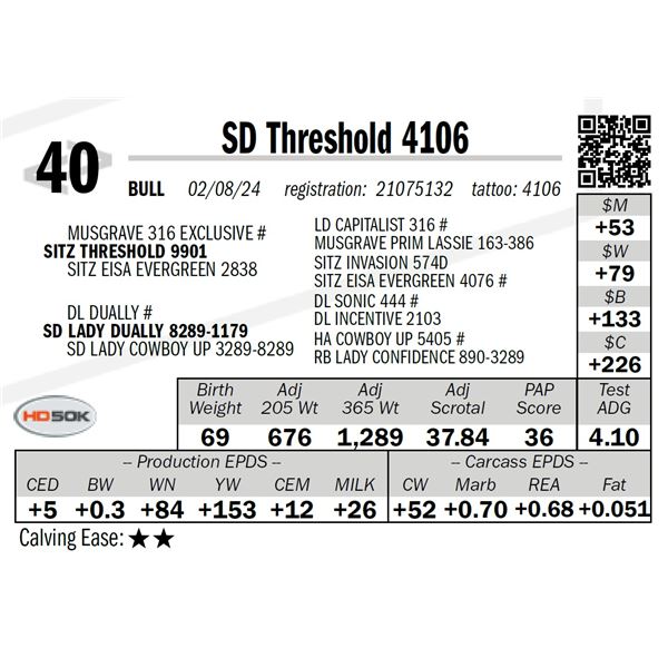 SD Threshold 4106