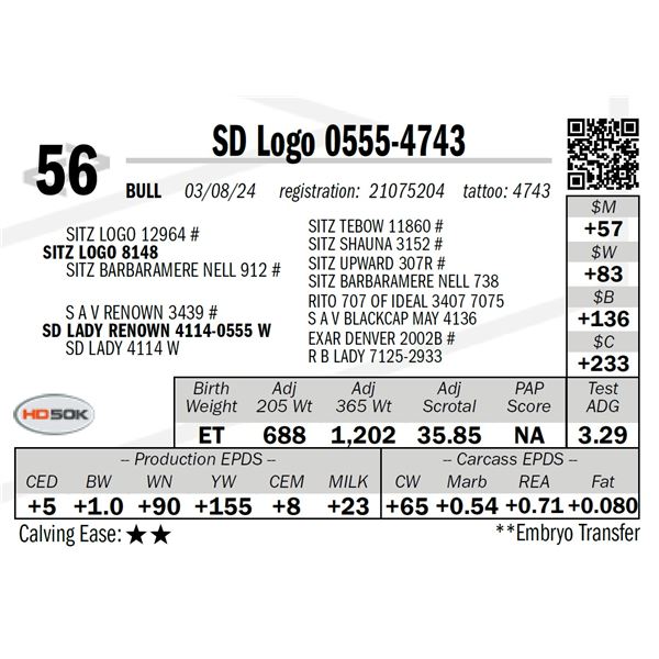 SD Logo 0555-4743