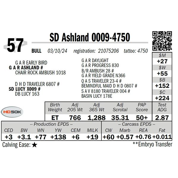 SD Ashland 0009-4750