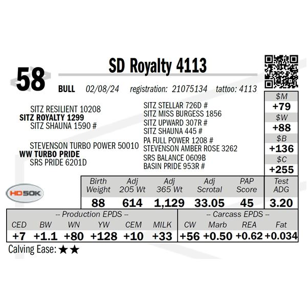 SD Royalty 4113
