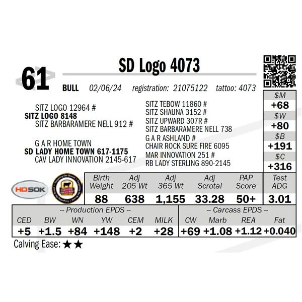 SD Logo 4073