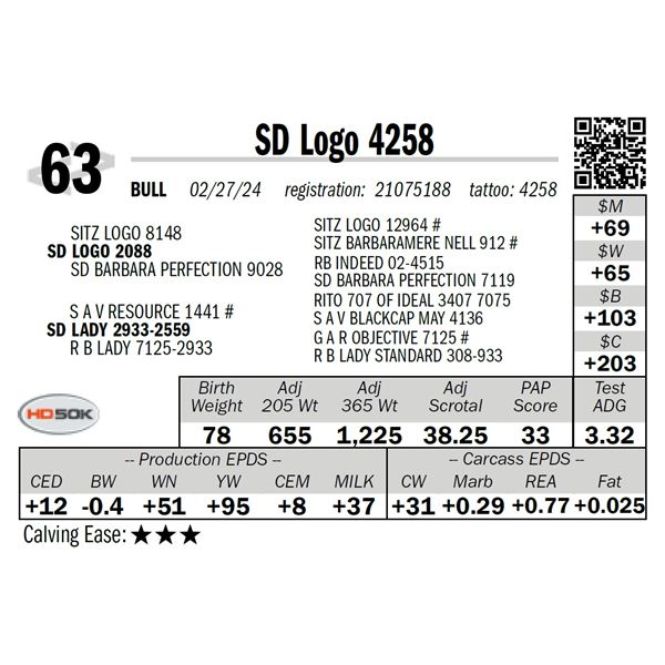 SD Logo 4258