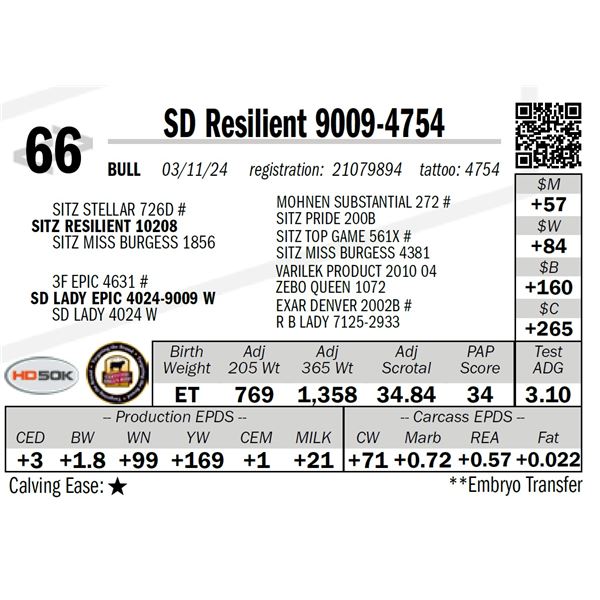 SD Resilient 9009-4754