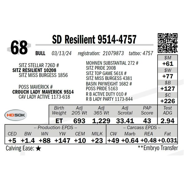 SD Resilient 9514-4757
