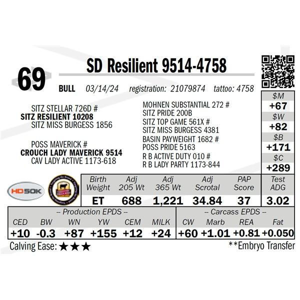 SD Resilient 9514-4758