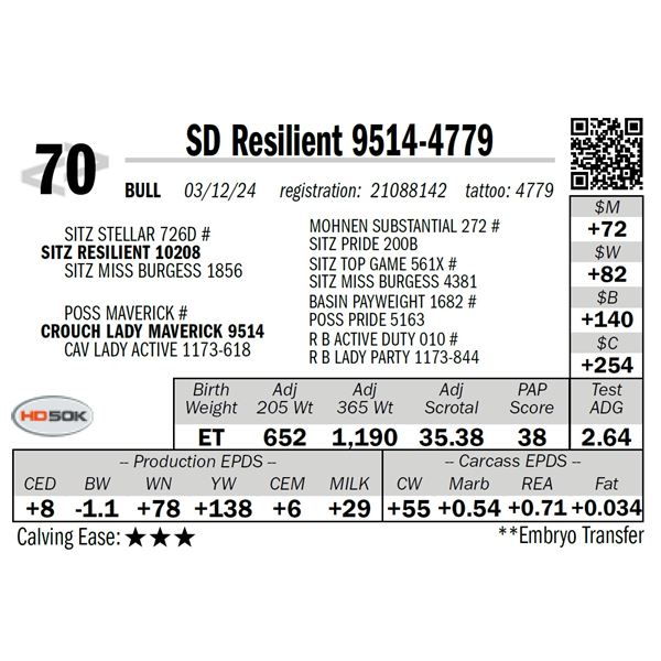 SD Resilient 9514-4779