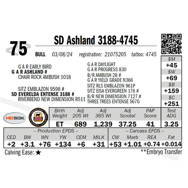 SD Ashland 3188-4745