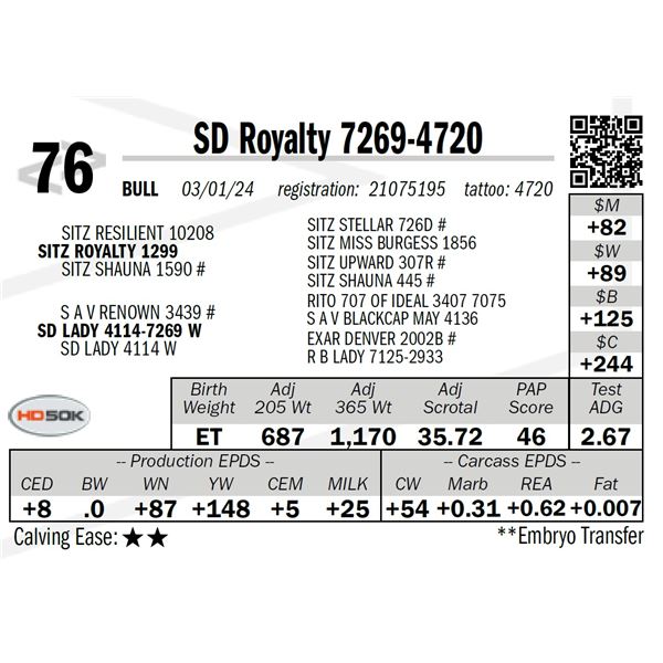 SD Royalty 7269-4720